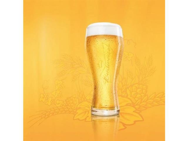 Jogo de Copos de Vidro para Cerveja Budweiser 4 Unidades de 400ML - 2