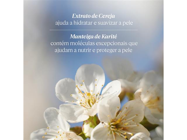 Loção Corporal L'Occitane en Provence Flor de Cerejeira 250ML - 3
