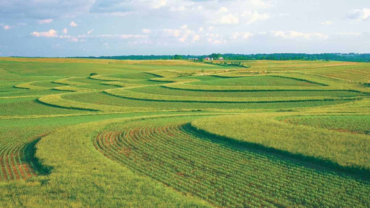 3 Important Reasons the Earth needs Phosphorus!
