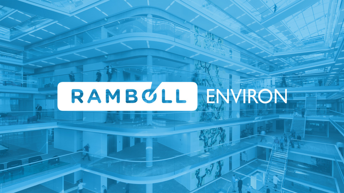 Robin Richards, Principal at Ramboll-Environ on Huge Cost Savings and Action Points Thanks to Satelytics