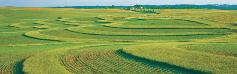3 Important Reasons the Earth needs Phosphorus!