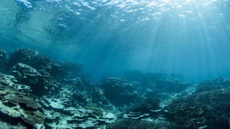 Measuring Bathymetry Using Satellite Imagery and Satelytics