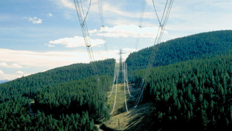 Using Satellite Imagery and Satelytics for Vegetation Management within Pipelines and Electrical Transmission Line Right-of-Ways
