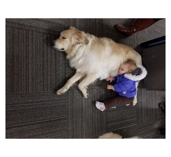 Makenzie
Adams enjoys a short nap while after discussing our new approach to PFAS
detection.