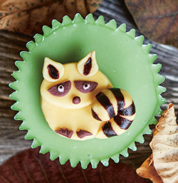 Woodland-Creatures-3.jpg#asset:9558