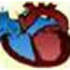 Arteries_medium