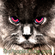 can I haz priva C?