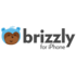 Brizzly-for-iphone_03_medium