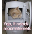 World Wide Web