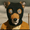 DarkWolf_V1