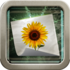 Swankolab-icon-large_medium