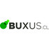 Buxus_medium