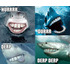 Shark_derp_durr_hurr_medium