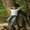 Tyler Bubin