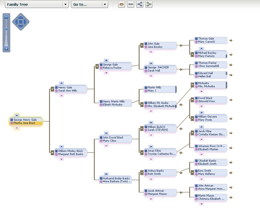 change of pedigree format appearance three generation family tree