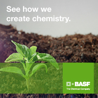 BASF