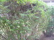 DSC00439