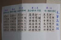 20111119 (26)