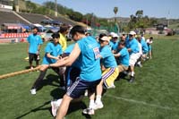 Liu (60)