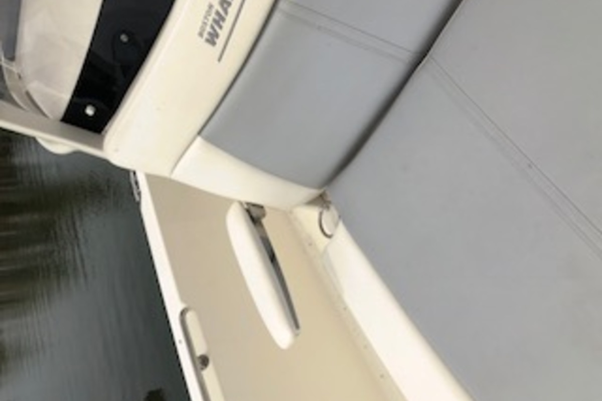 2016 Boston Whaler Dauntless, 18