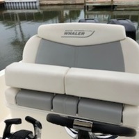 2016 Boston Whaler Dauntless, 4