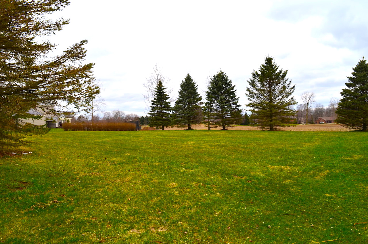 Buildable Lot in Grabill Indiana Scheerer McCulloch Indiana Auctions, Real Estate, Senior