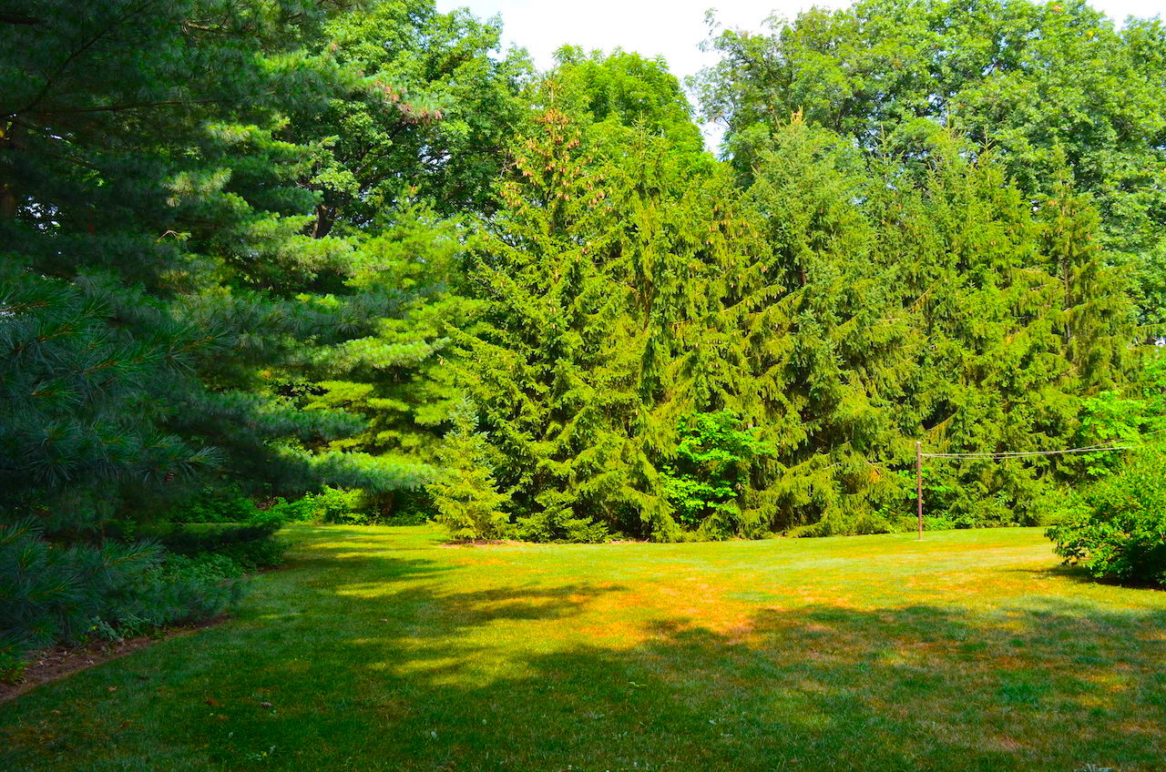 Well maintained 3 bedroom home and buildings on 9+ acres 