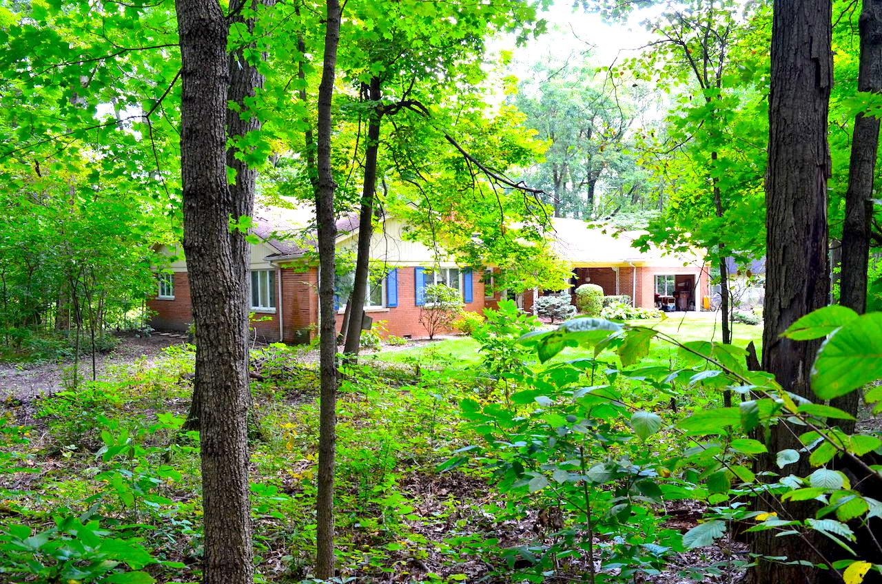 Spacious 3 bedroom home on bsmt with outbuildings sitting on 3 acres