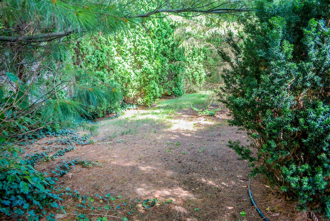 Charming 3 Bedroom 3 Bathroom Home in Walking Distance to Dewart Lake