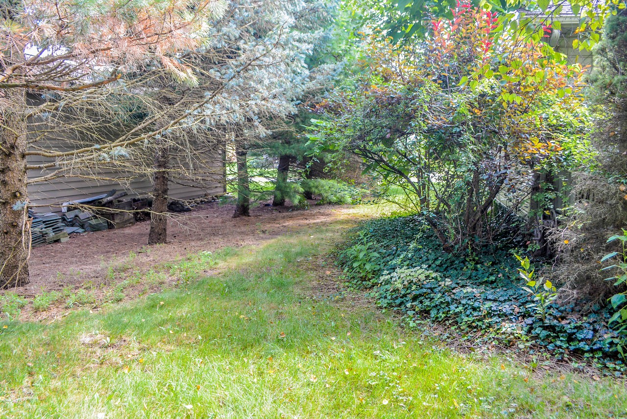 Charming 3 Bedroom 3 Bathroom Home in Walking Distance to Dewart Lake