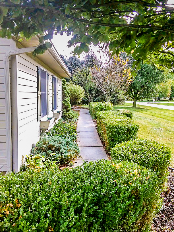 Charming 3 Bedroom 3 Bathroom Home in Walking Distance to Dewart Lake