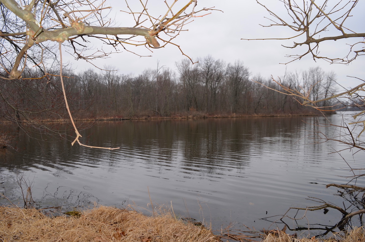 2 lakefront Investment homes with garages & 2 adjacent lots located on