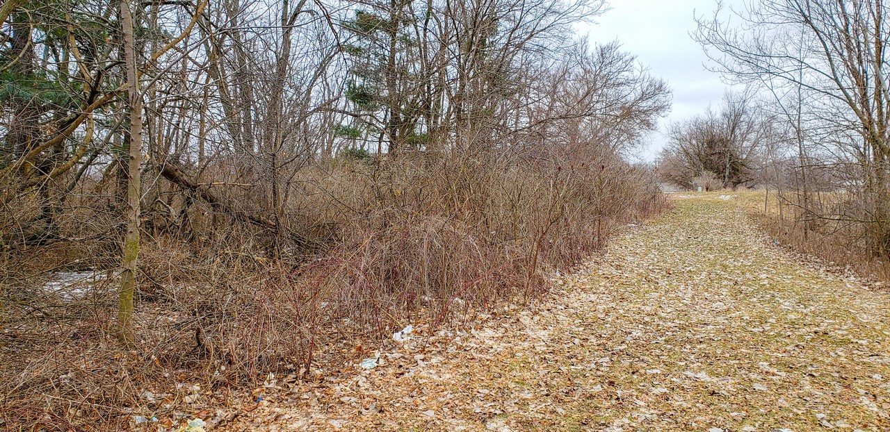 2.79+/ Acres of Vacant Land in Ligonier IN Scheerer McCulloch