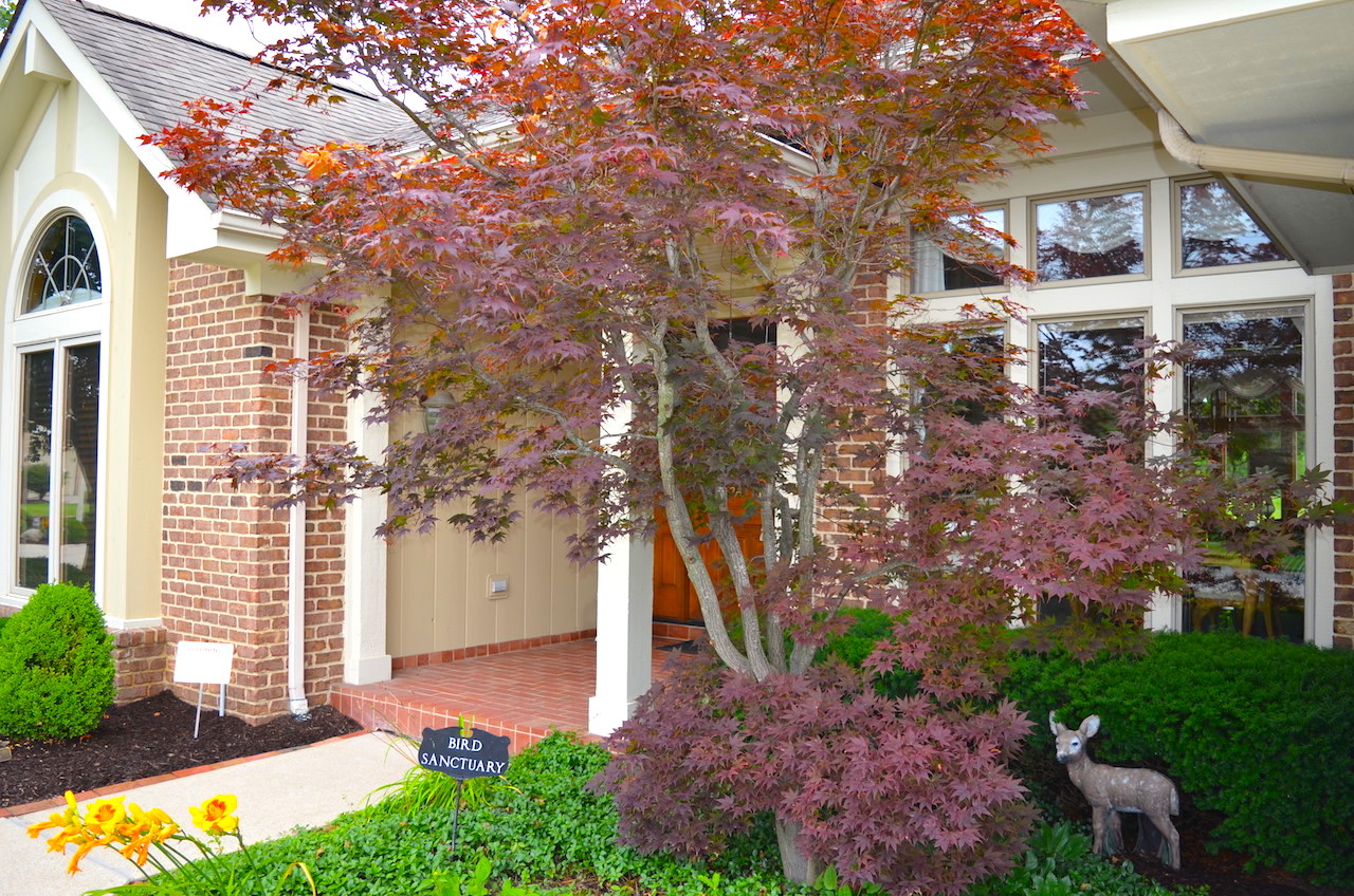 Beautiful, well maintained Autumn Ridge villa on golf course Scheerer