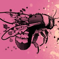 Two Sparrows Tattoo Co