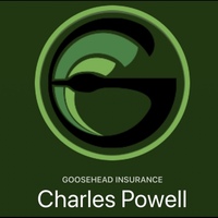Goosehead Insurance