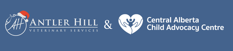 Pet Photos With Santa