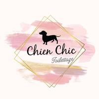 Chien chic toilettage