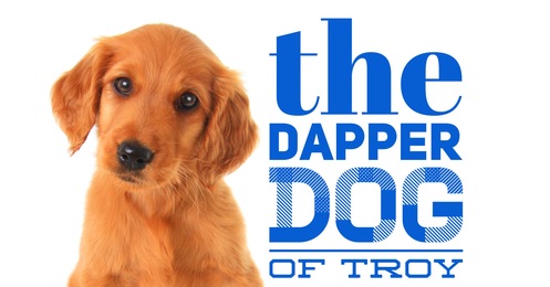 the dapper dog grooming salon