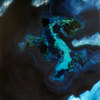 Thumb_small_floe_cropped