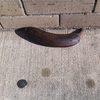 Thumb_small_img_3796
