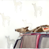 Thumb_small_deer_on_car
