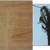 Thumb_small_lighttrees
