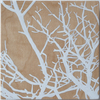 Thumb_small_white_tree