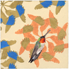 Thumb_small_hbird
