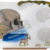 Thumb_small_skullscape