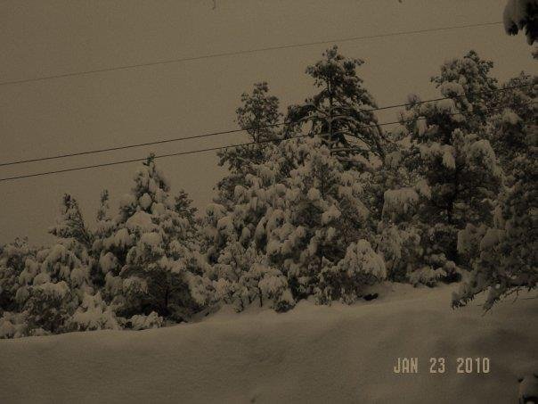 Merrilee Sledge's album, Ruidoso. 2010