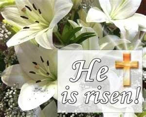 Beth Collins' album, Timeline Photos