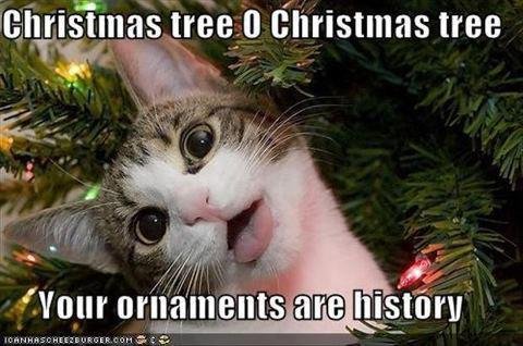 Suzy Bonnar's album, Timeline Photos