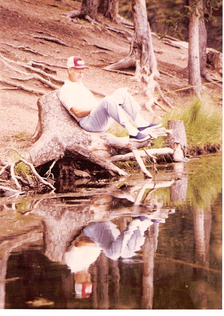 Jan Cole's album, Mobile Uploads